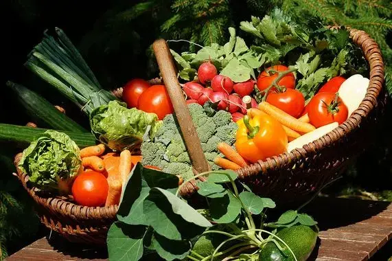 Les légumes frais du maraichage les grands prés à Boutigny
